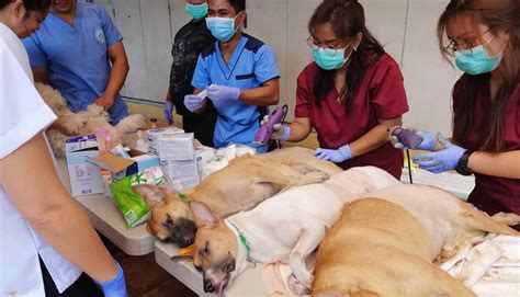 SpayPhilippines .